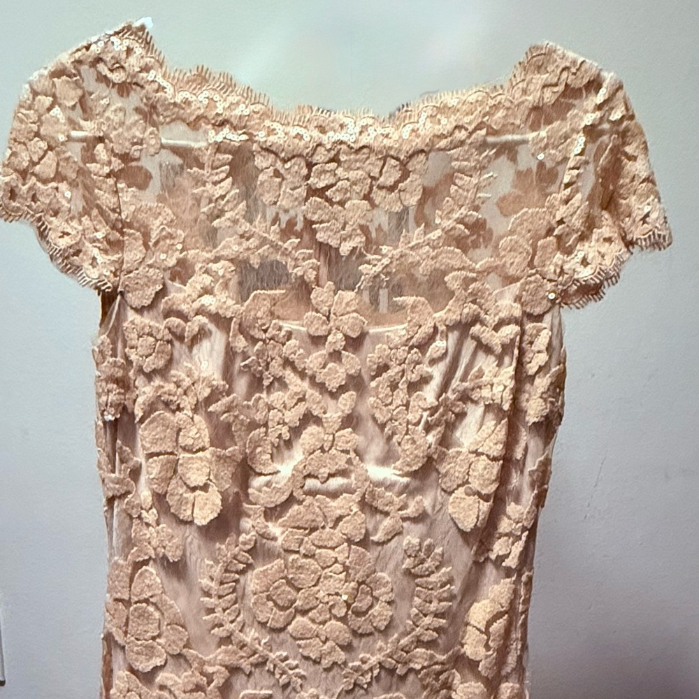 Tadashi Shoji Cream Lace Midi Dress